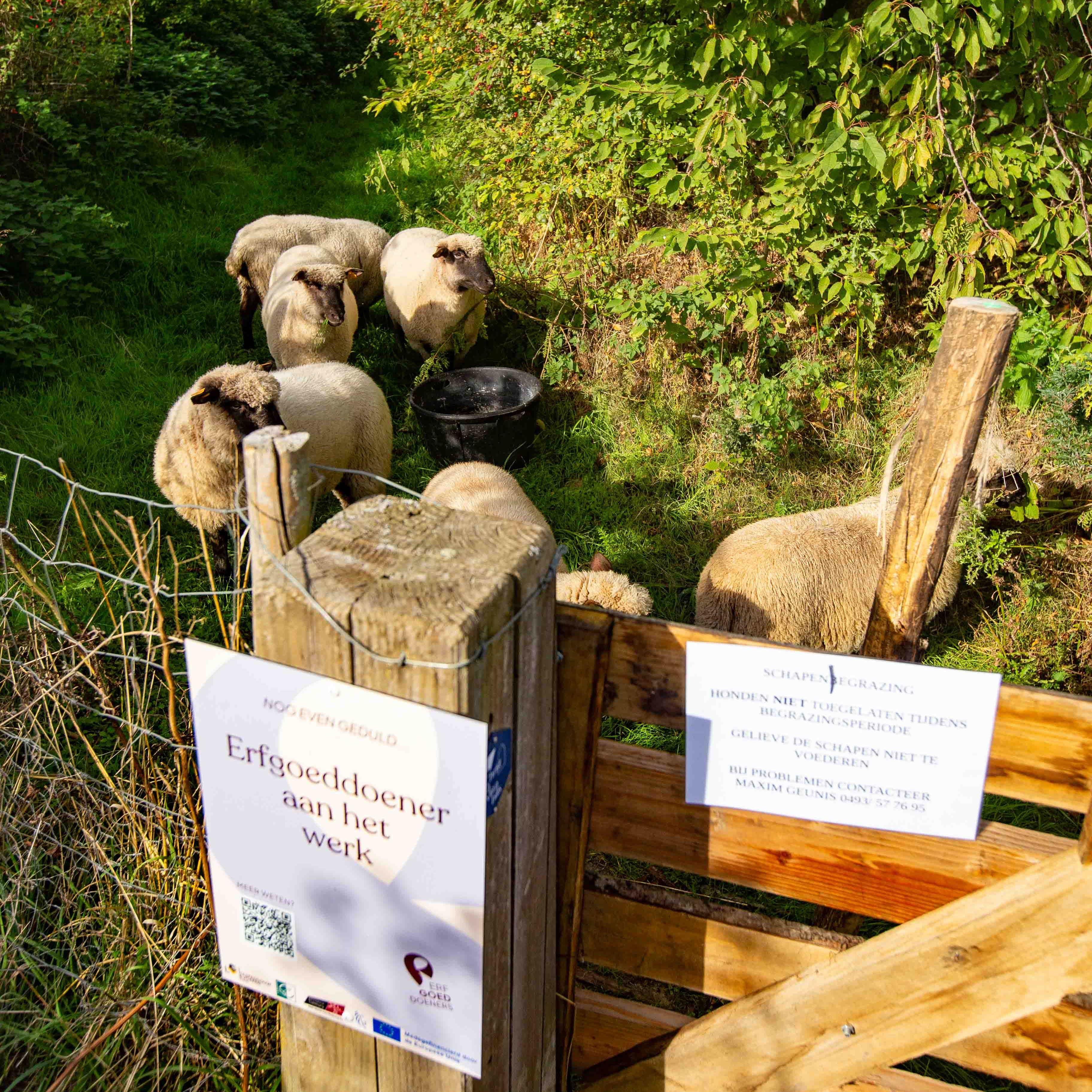 Joachim Volont bij de holle weg in Jesseren